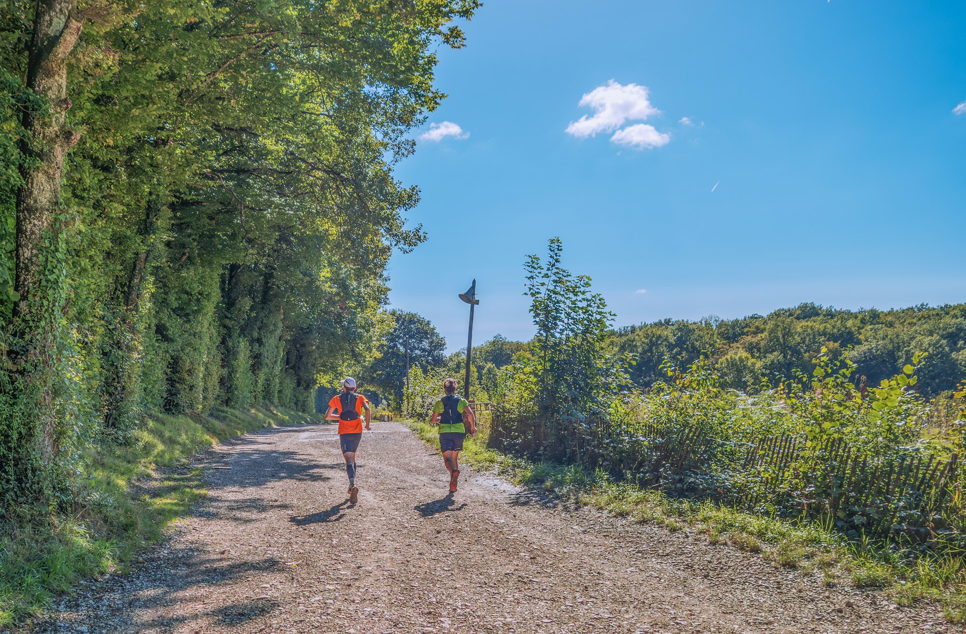 Two runners on a path through trees
